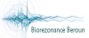 Biorezonance